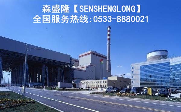 燃?xì)獍l(fā)電廠 森盛隆配圖